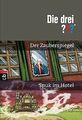 Die drei ??? - Der Zauberspiegel / Spuk im Hotel | Buch | Zustand gut