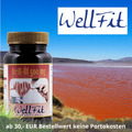 Wellfit- Krill-Öl 500 mg - 60 Kapseln ASTAXANTHIN OMEGA 3 EPA DHA 1500MG