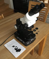 GemOro Elite 745ZS Professionelles Mikroskop für Edelsteine
