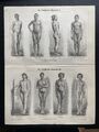 antike Grafik Medizin / Anatomie: Die Gestalt des Menschen um 1900 