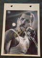 Original Autogramm von Freddie Mercury! Mit COA!!