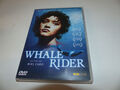 DVD   Whale Rider