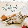 Für Katzenfreunde 2021: Wandkalender mit Monatskale... | Buch | Zustand sehr gut