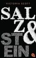Salz & Stein (Die Feuer & Flut-Romane, Band 2) von Scott... | Buch | Zustand gut