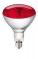 Hartglas Infrarotlampe Philips Kerbl 22314 Infrarot Lampe rot 250 W