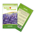 Lavendel Echter Samen - Lavandula angustifolia - Lavendelsamen