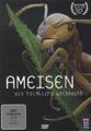 Ameisen - Die heimliche Weltmacht | DVD | deutsch | 2012