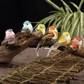 6 Stück Fake Künstlich Papagei Gefedert Vogel Wellensittich Garten Wohndeko 10cm