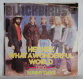 Blackbirds - Hey, Hey, What A Wonderful World - 45 RPM Single 7"