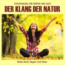 Der Klang der Natur - Wald, Bach, Regen und Meer (ohne Musik) | CD