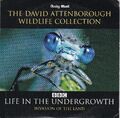 LIFE IN THE UNDERGROWTH Invasion of the land ( DAILY MAIL Newspaper DVD )