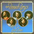 the Beach Boys - 15 Big Ones/Love You ZUSTAND SEHR GUT