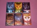 Warrior Cats 3.Staffel Die Macht der Drei (Erin Hunter) _ Gebundene Ausgaben