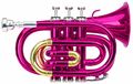 Bb Taschen Trompete Blech Blasinstrument Messing Trumpet Leicht Koffer pink