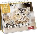 Für Katzenfreunde 2023: Tischkalender mit Wochenkal... | Buch | Zustand sehr gut
