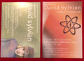 DAVID SYLVIAN 2 x SELTENE TOUR HANDSCHEINE A5 Größe Japan Regenbaumkrähe 