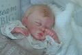 Made to Order schönes Reborn Baby Liam Gudrun Legler kostenloses Geschenk enthalten