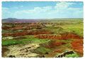 1960er USA Postkarte bemalt Wüste aus geschichteten Felsschichten Arizona unpostiert
