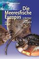 Die Meeresfische Europas: In Nordsee, Ostsee und At... | Buch | Zustand sehr gut