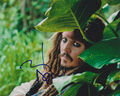 JOHNNY DEPP Original Autogramm signiertes Großfoto Portrait Fluch der Karibik