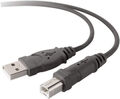 Belkin USB Kabel USB-A USB-B Stecker Ladekabel 1,8 m Datenkabel Männlich