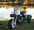 E-Scooter Scooter Elektroroller Roller mit Straßenzulassung StVZO Trike Chopper