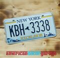 USA Nummernschild/Kennzeichen/license plate  * New York Excelsior *