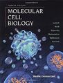 Molecular Cell Biology von Lodish, Harvey, Berk, Arnold | Buch | Zustand gut