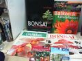 Konvolut bestehend aus 6 Bänden zum Thema: Bonsai und Kübelpflanzen. div. Autore