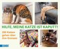 Hilfe, meine Katze ist kaputt | 200 Katzen gehen über ihre Grenzen | Taschenbuch