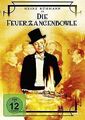 Die Feuerzangenbowle von Helmut Weiss | DVD | Zustand sehr gut