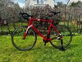 Rennrad Wilier GTR Team Campagnolo Centaur 2x11 / XXL / Carbon Rahmen