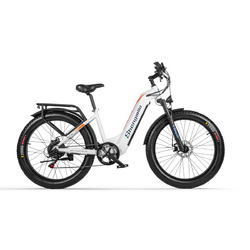 E-Bike 26 Zoll Moentainbike Elektrofahrrad Damen Pedelec 1000W eBike CitybikeBefreit MwSt.✅17.5Ah Samsung Batterie✅25-40kmh