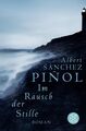 Im Rausch der Stille: Roman Roman Sanchez Piñol, Albert und Angelika Maa 1255795