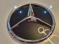 Original Mercedes-Benz Stern Emblem Kühlergrill  Grundplatte A0008881000