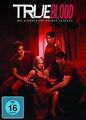 True Blood - Die komplette vierte Staffel [5 DVDs] v... | DVD | Zustand sehr gut
