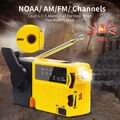 Emergency Hand Crank AM/FM/SW/NOAA Radio LED Flashilight Torch Phone Charger NEW