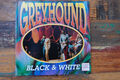 CD   GREYHOUND - Black & White