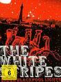 The White Stripes - Under Blackpool Lights  (DVD) gebr. gut