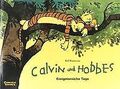 Calvin und Hobbes, Band 8: Ereignisreiche Tage: BD 8 von... | Buch | Zustand gut