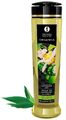 240  ml - SHUNGA Massage Öl Organica Exotic Green Tea 240ml