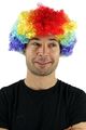 Perücke Fasching Karneval Locken Clown Zirkus Narr Bunt Afro mehrfarbig PW0179