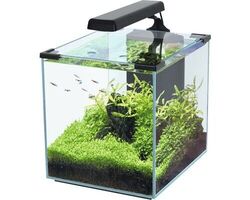 Aquarium aquatlantis Nano Cubic 30 mit Frostglasrückseite, LED-Beleuchtung, Filt