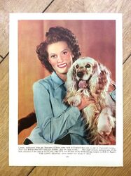 MAUREEN O'HARA Vintage 1948 FILM NOIR Film Foto A FRAU'S GEHEIM Spaniel Hund