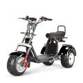 E-Scooter Seniorenmobil Dreirad 60V 4000 W mit Straßenzulassung Roller CP7.1 20A