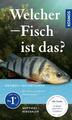 Welcher Fisch ist das? | Matthias Bergbauer | Taschenbuch | 160 S. | Deutsch