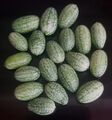25 Samen Mexikanische Minigurke, SAMENFEST, fürs FREILAND, Melothria scabra