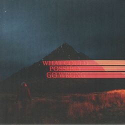 FIKE, Dominic - What Could Possibly Go Wrong - Vinyl (Gatefold LP + Einsatz)