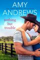 Nothing but Trouble, Taschenbuch von Andrews, Amy, wie neu gebraucht, kostenlose P&P in der...