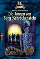 Burg Schreckenstein, Bd. 1: Die Jungen von Burg Sch... | Buch | Zustand sehr gut